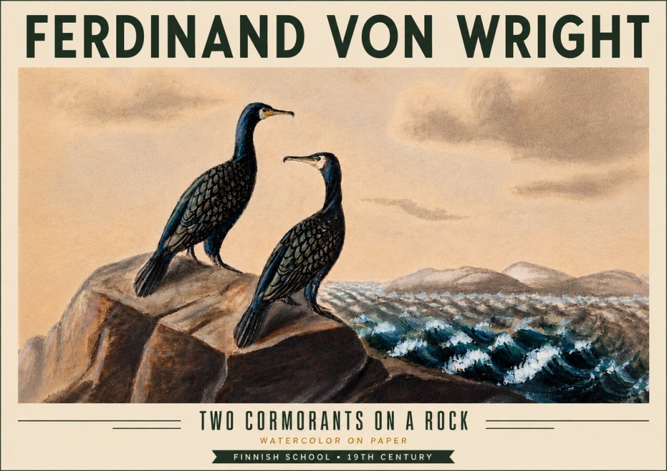 Ferdinand von Wright Two Cormorants on a Rock No6 - Affiche