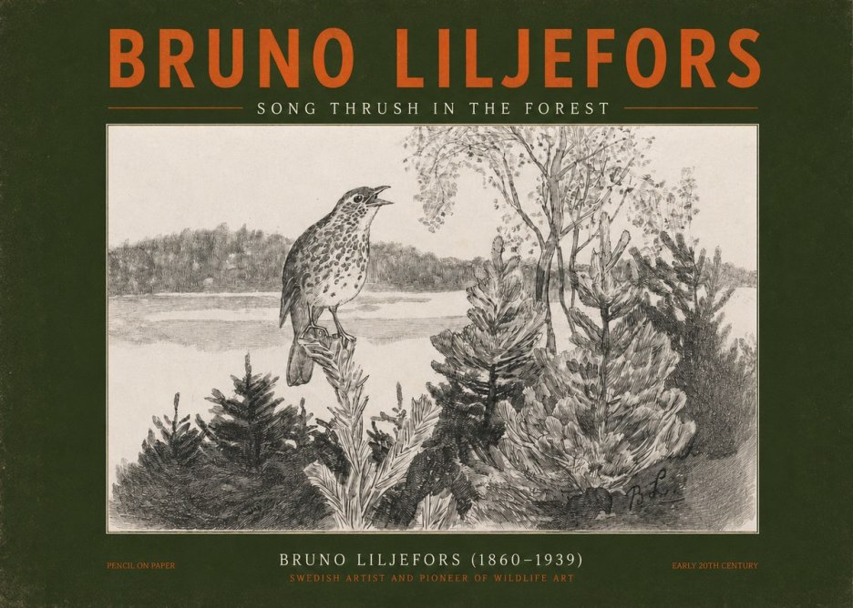 Bruno Liljefors Song Thrush in the Forest No2 - Affiche