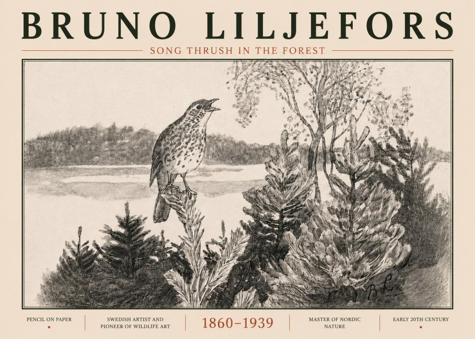 Bruno Liljefors Song Thrush in the Forest No5 - Affiche