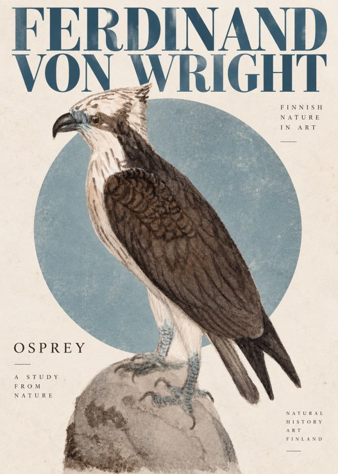 Ferdinand von Wright Osprey No4 - Affiche