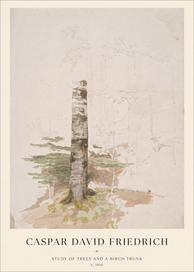 Caspar David Friedrich Study of Trees and a Birch Trunk No1 - Affiche