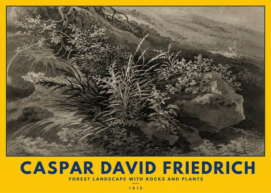 Caspar David Friedrich Forest Landscape with Rocks and Plants No5 - Affiche