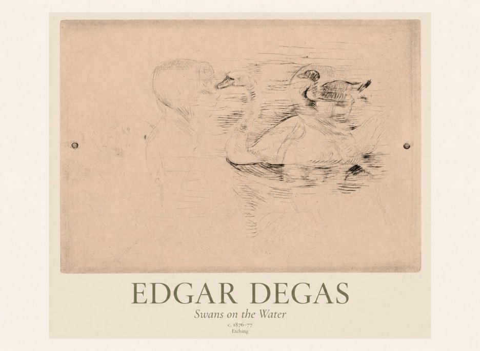 Edgar Degas Swans on the Water No1 - Affiche