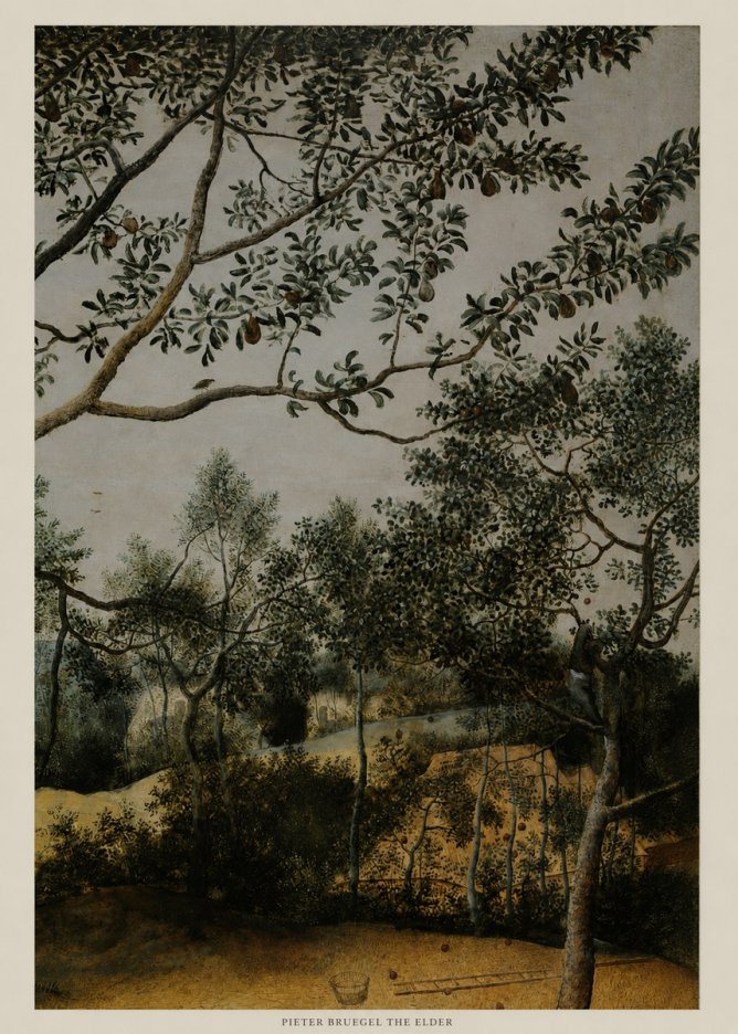 Pieter Bruegel Branch of a Pear Tree No5 - Affiche
