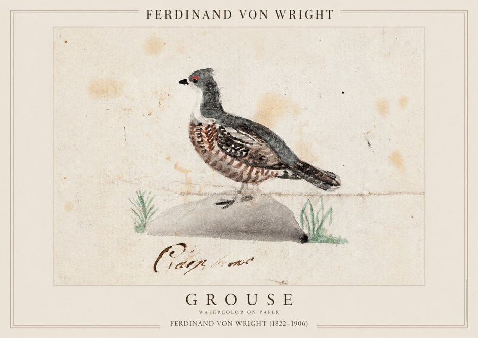 Ferdinand von Wright Grouse No1 - Affiche
