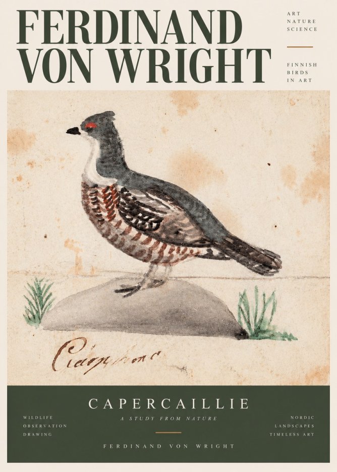 Ferdinand von Wright Grouse No3 - Affiche