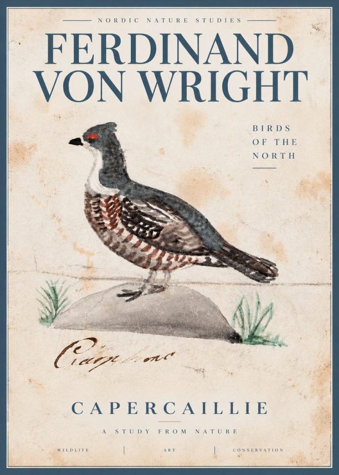 Ferdinand von Wright Grouse No5 - Affiche