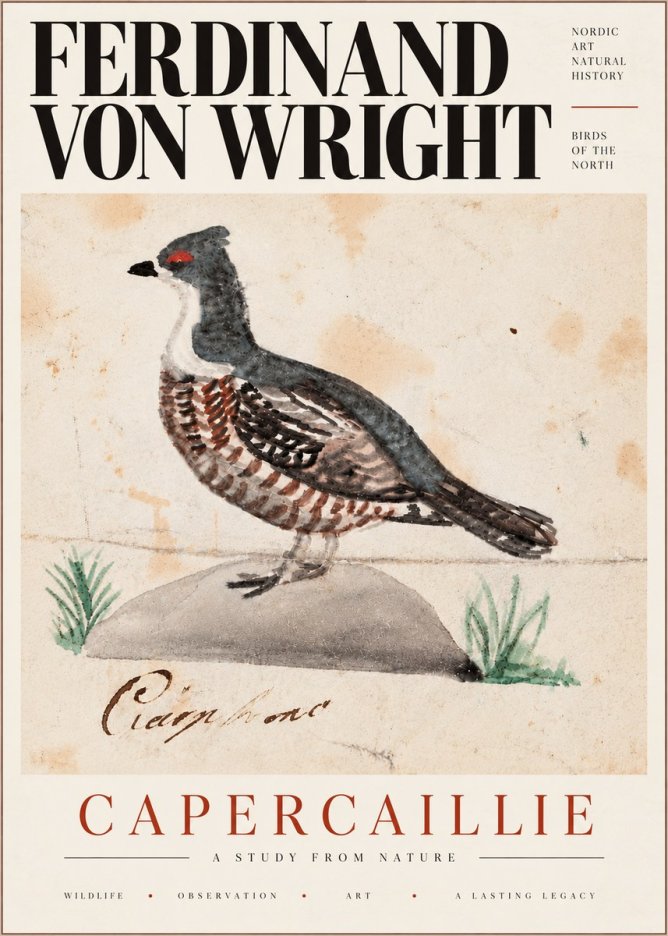 Ferdinand von Wright Grouse No6 - Affiche
