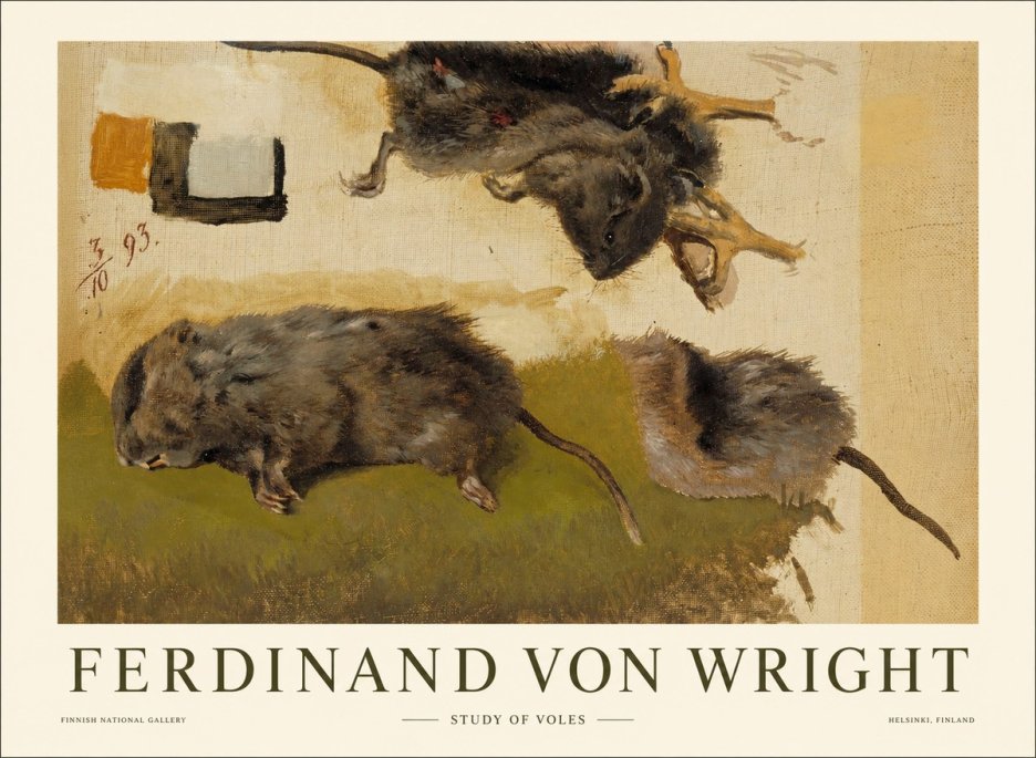 Ferdinand von Wright Studies of Lemmings No2 - Affiche