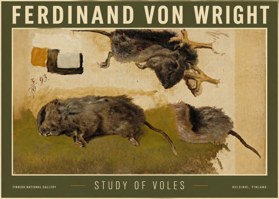 Ferdinand von Wright Studies of Lemmings No6 - Affiche