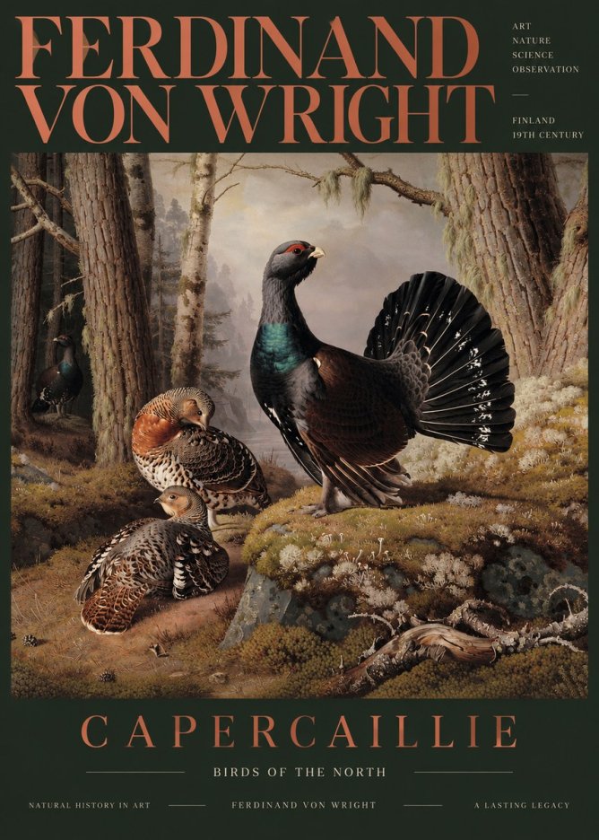 Ferdinand von Wright Wood Grouse in a Forest Landscape No6 - Affiche