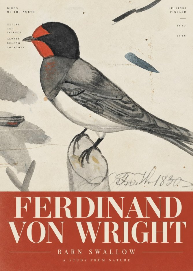 Ferdinand von Wright The Swallow No6 - Affiche