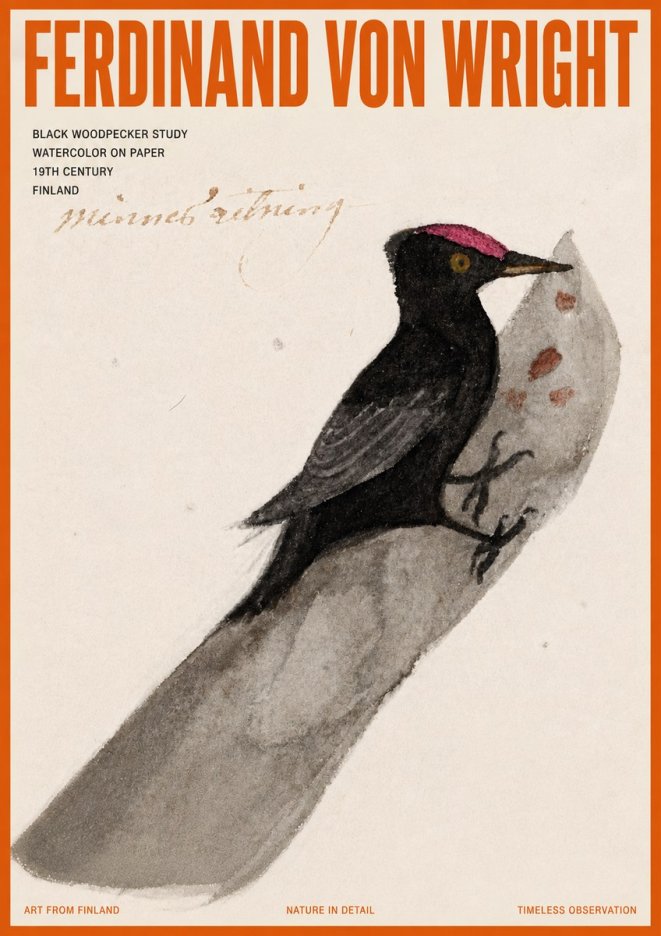 Ferdinand von Wright Black Woodpecker Study No5 - Affiche