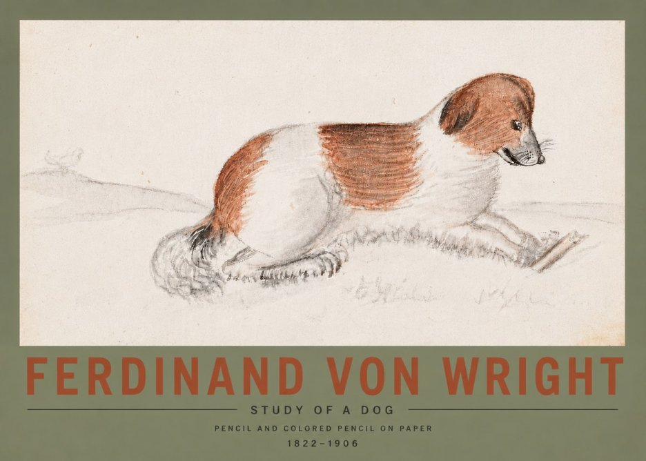 Ferdinand von Wright Study of a Dog No5 - Affiche