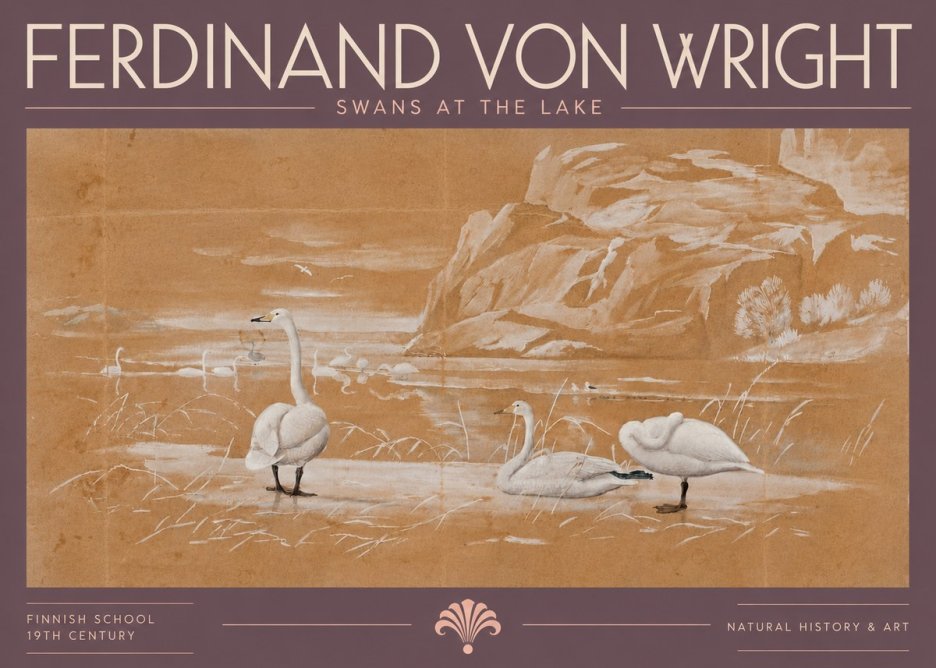Ferdinand von Wright Swans at the Lake No5 - Affiche