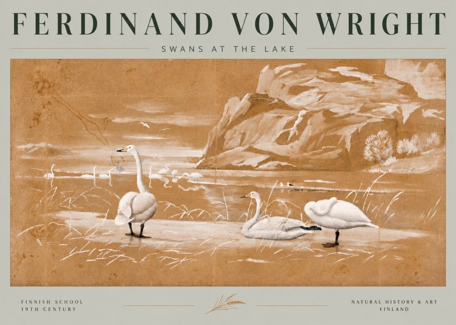 Ferdinand von Wright Swans at the Lake No6 - Affiche
