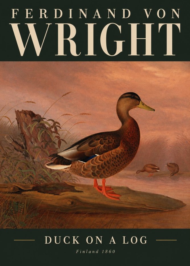 Ferdinand von Wright Wild Duck No3 - Affiche