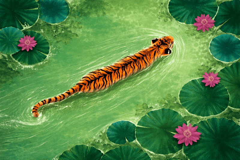 Uploaded
wallpaper