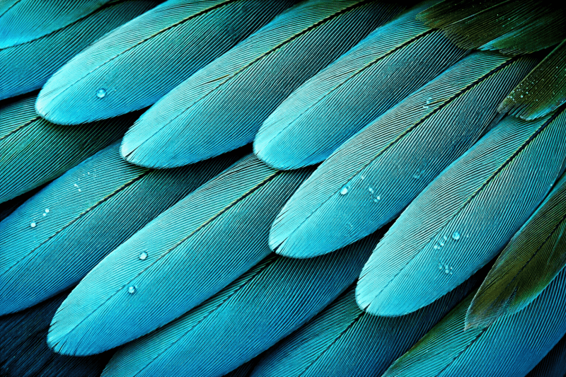 Uploaded
wallpaper