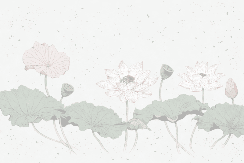 Uploaded
wallpaper