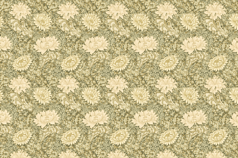 Uploaded
wallpaper