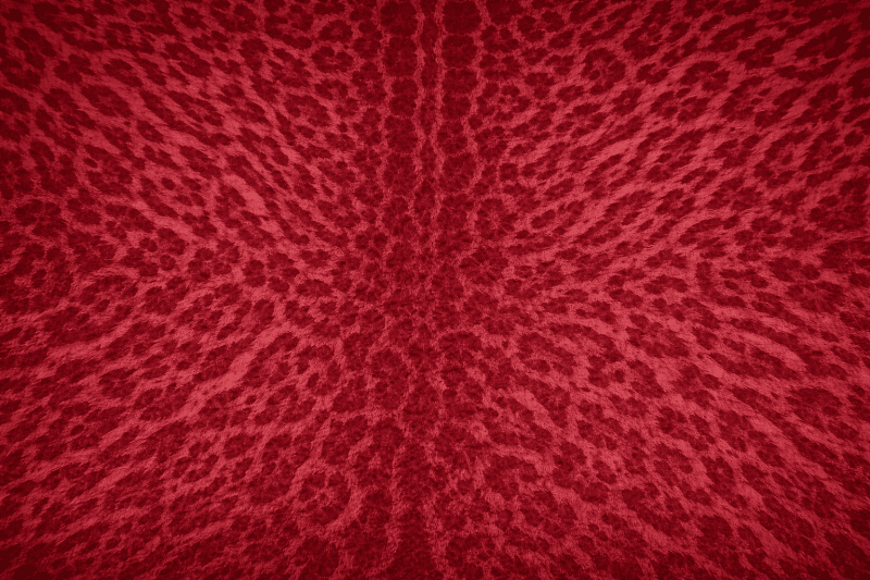 Uploaded
wallpaper