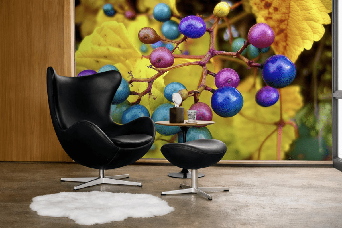 Vibrant Harvest Cluster