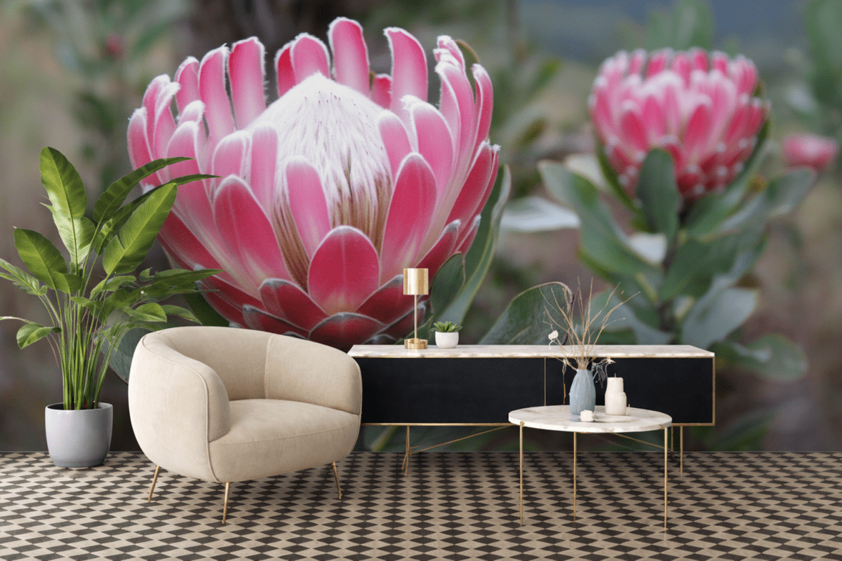 Protea Bloomscape