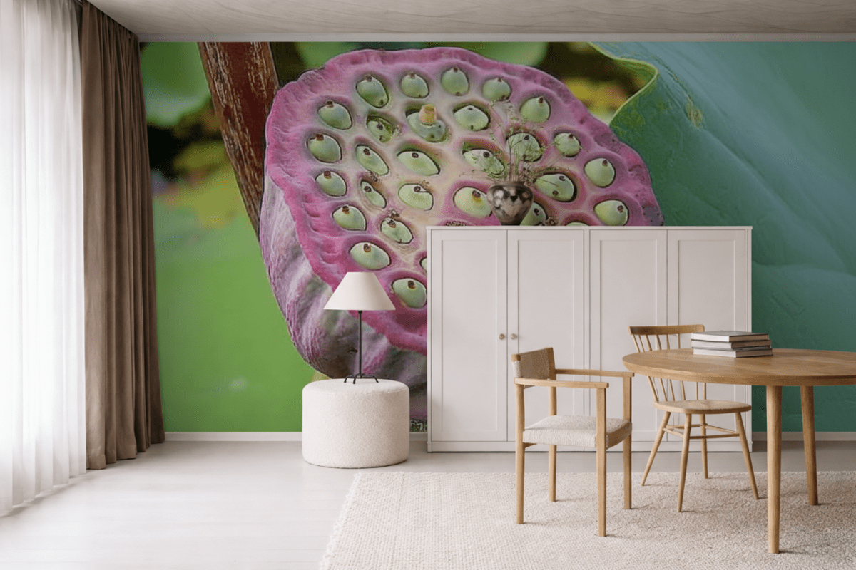 Lotus Seed Harmony