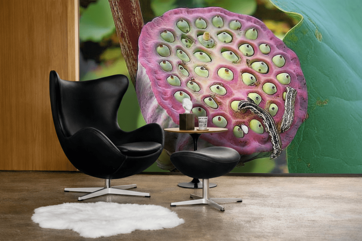 Lotus Seed Harmony