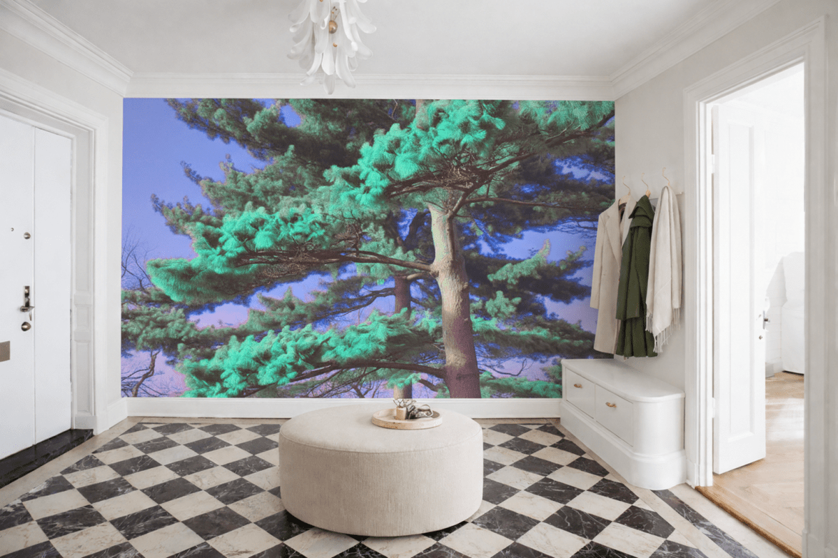 Emerald Canopy