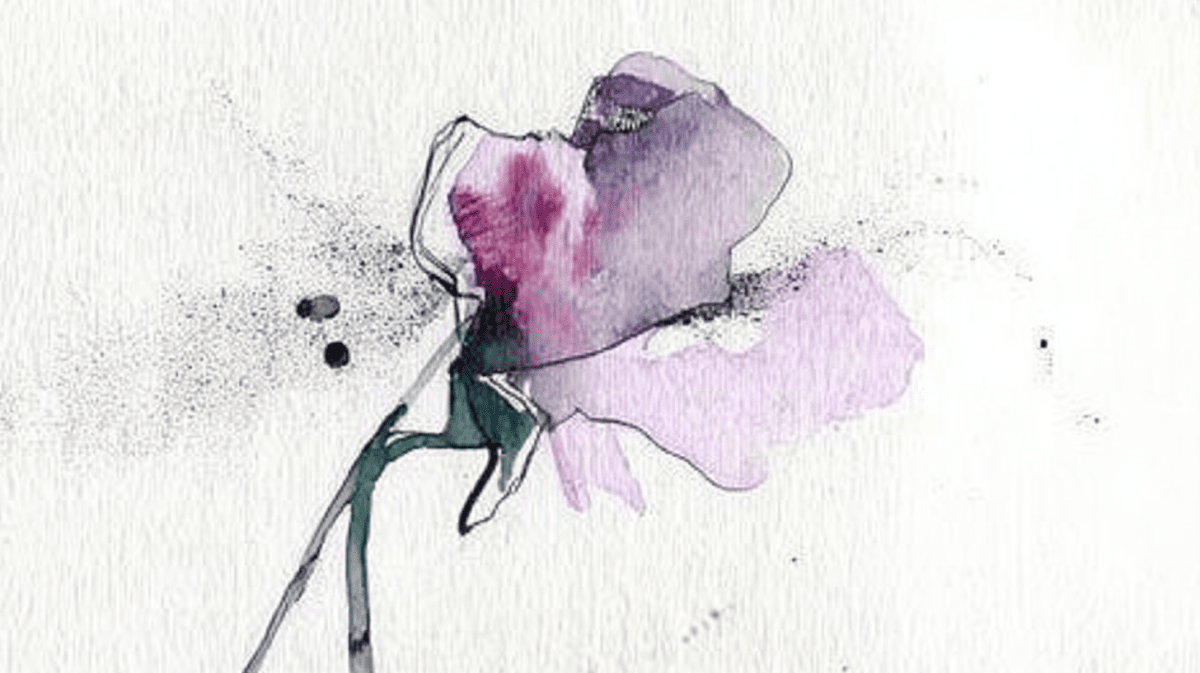 Gossamer Bloom
