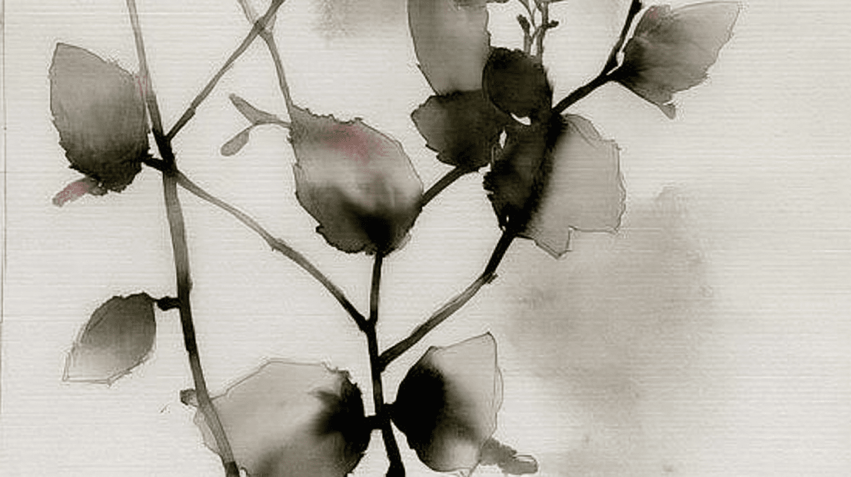 Ink Blossom Currents