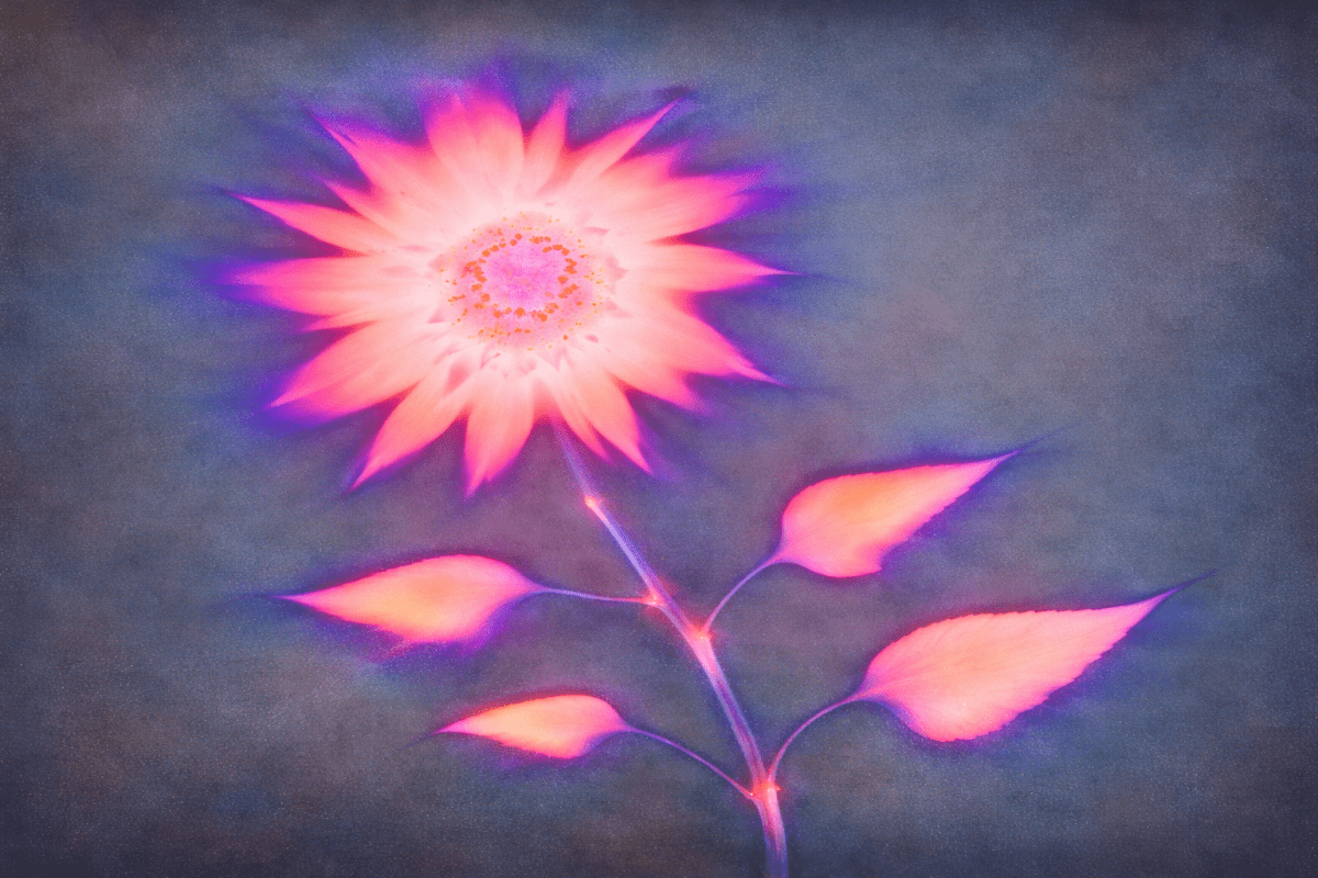 Radiant Flora