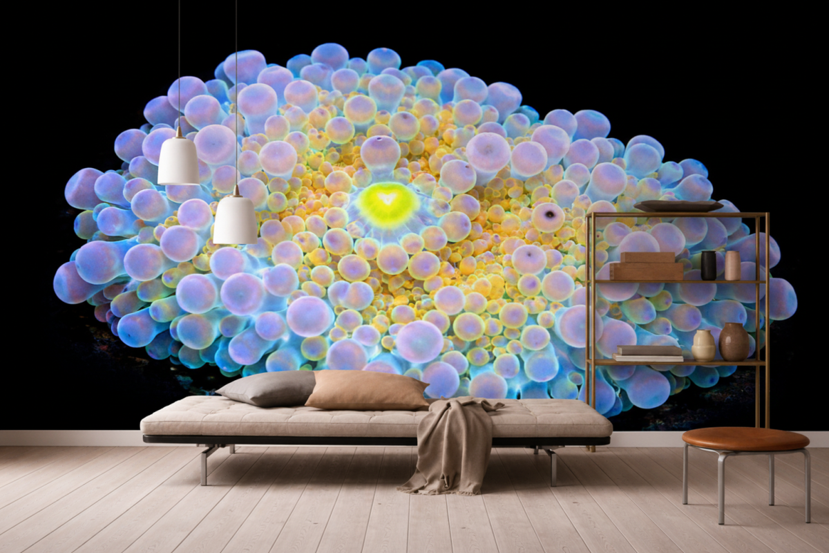 Nectar Pebbles