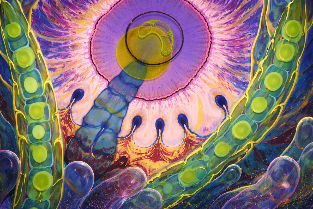 Ethereal Vortex