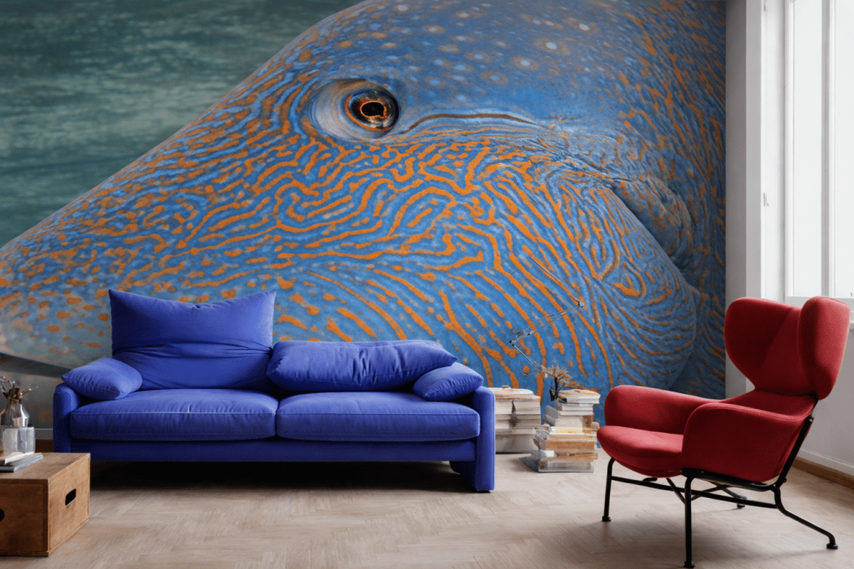 Dune Patterns