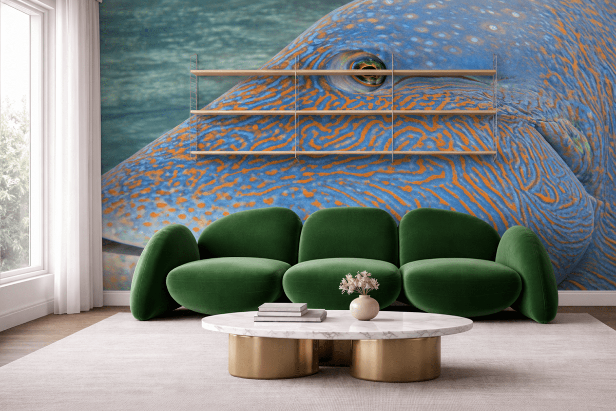 Dune Patterns