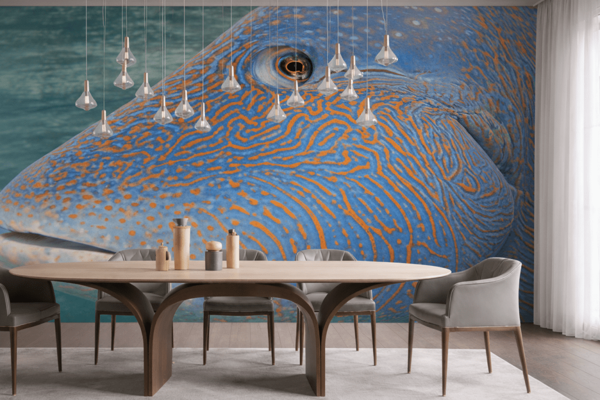 Dune Patterns