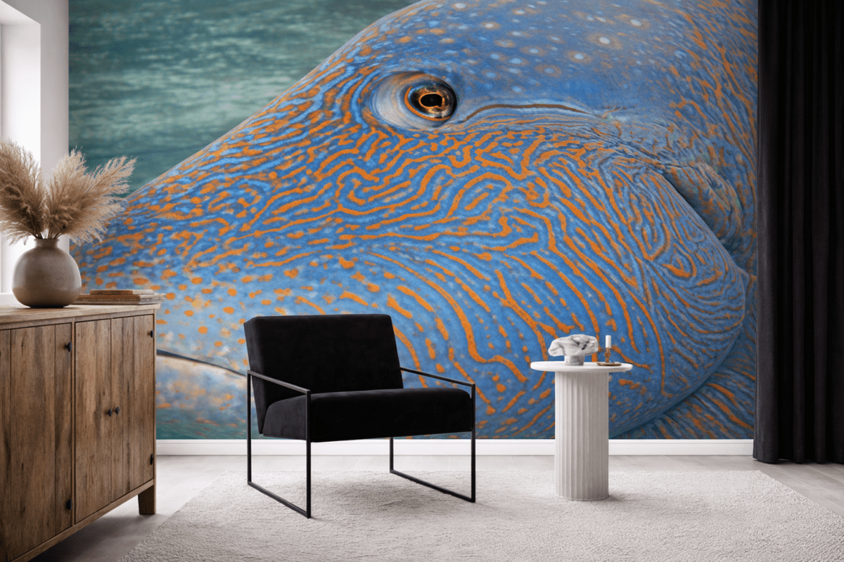 Dune Patterns
