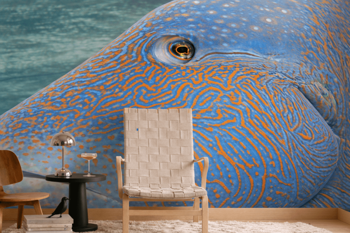 Dune Patterns