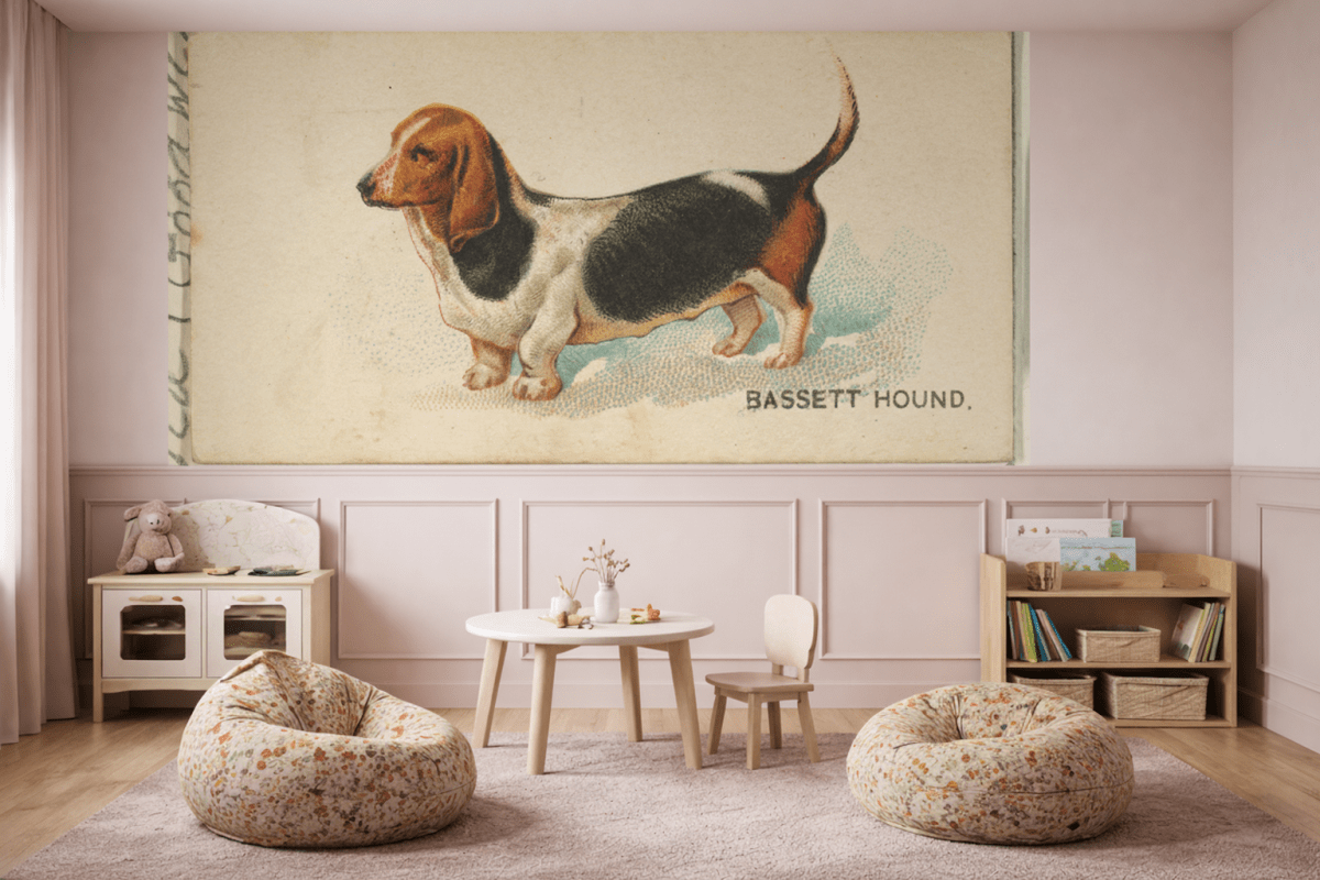 Basset Curiosity