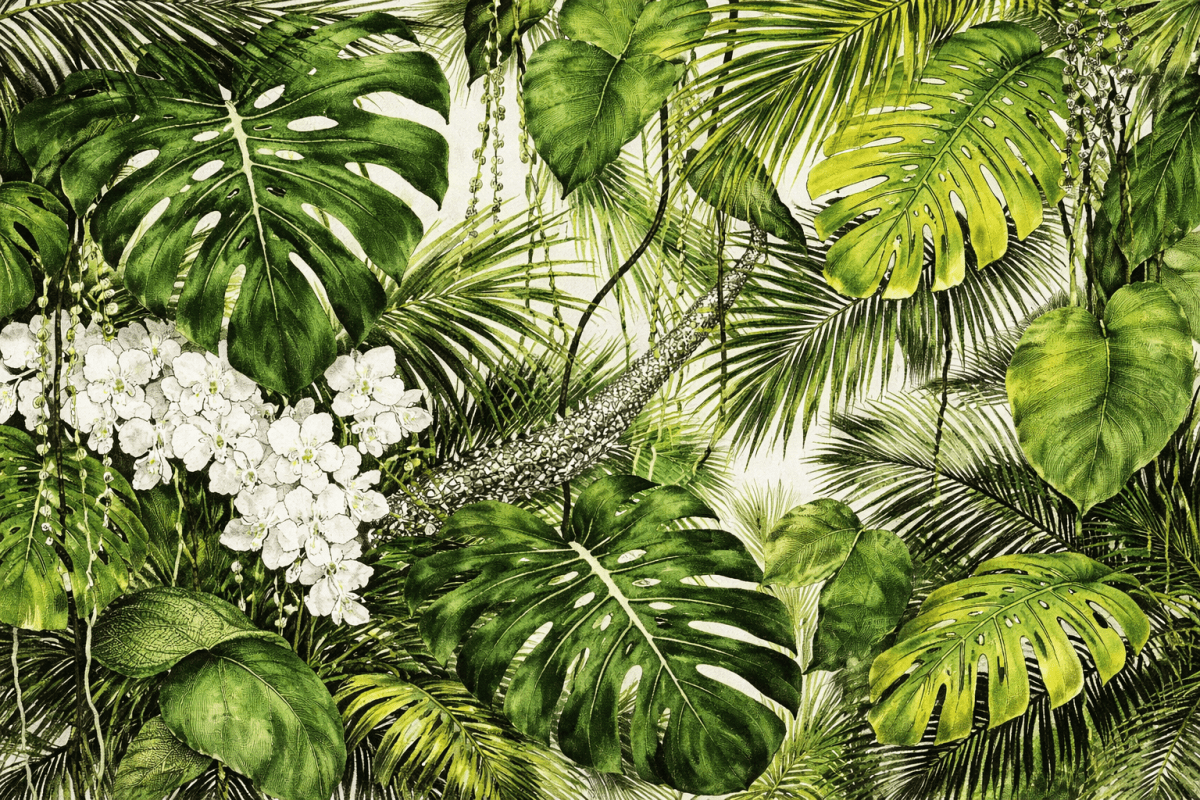 Tropical Greenery