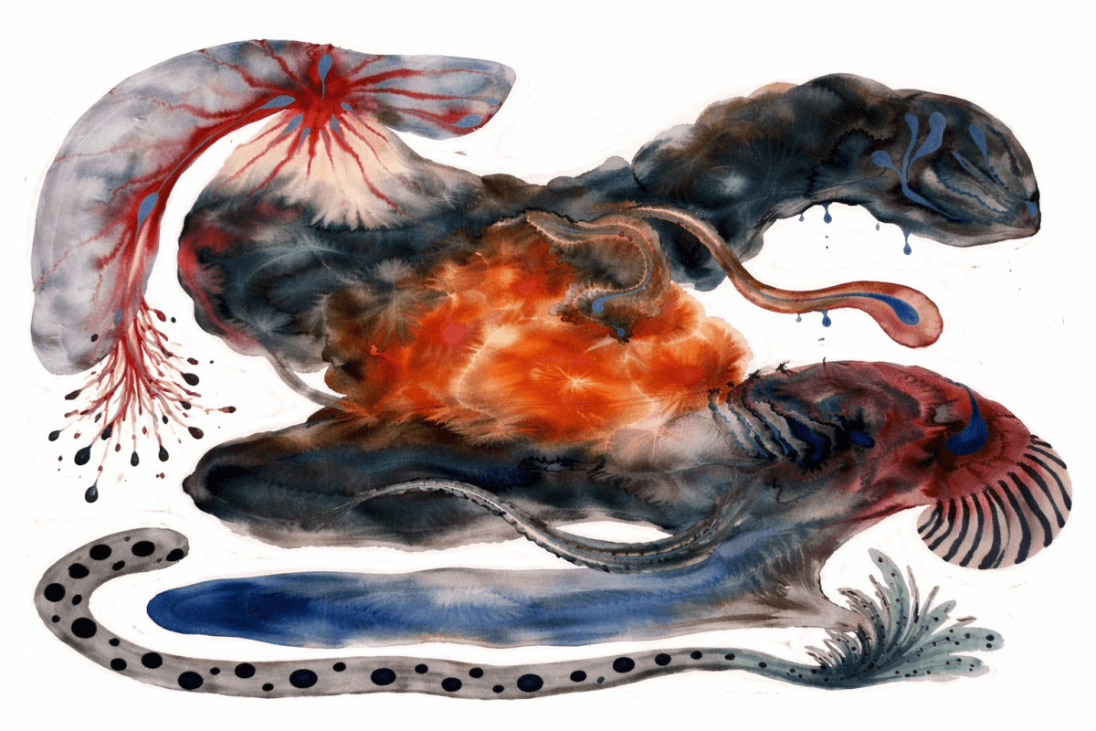 Saffron Seaforms