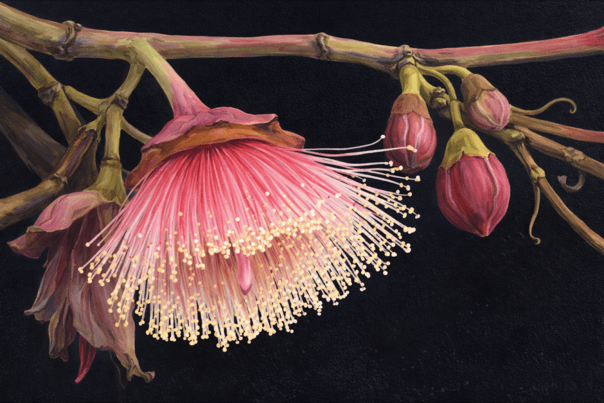 Saffron Bloom