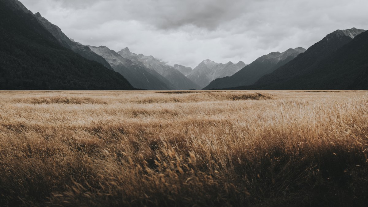 Opal Grassland