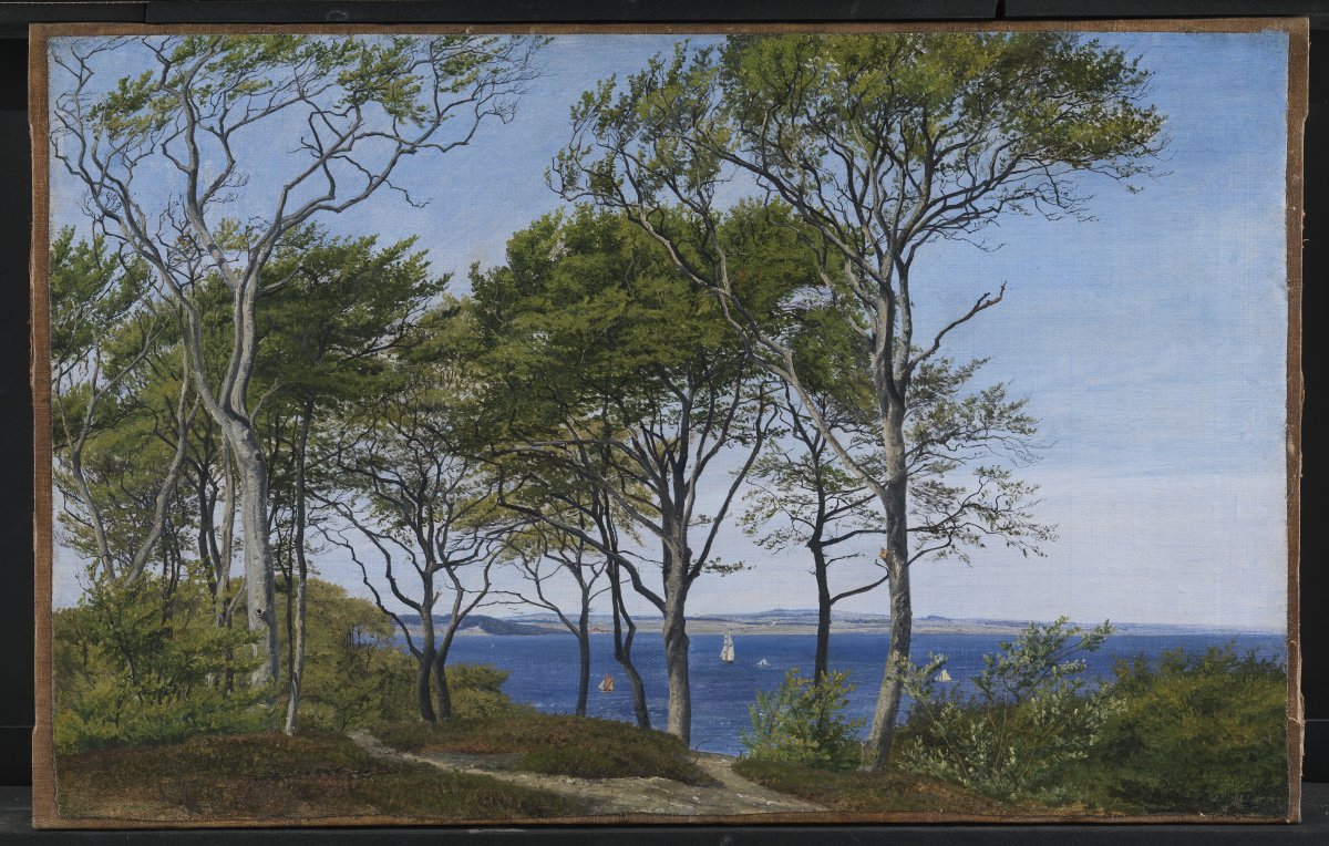 Seascape Canopy