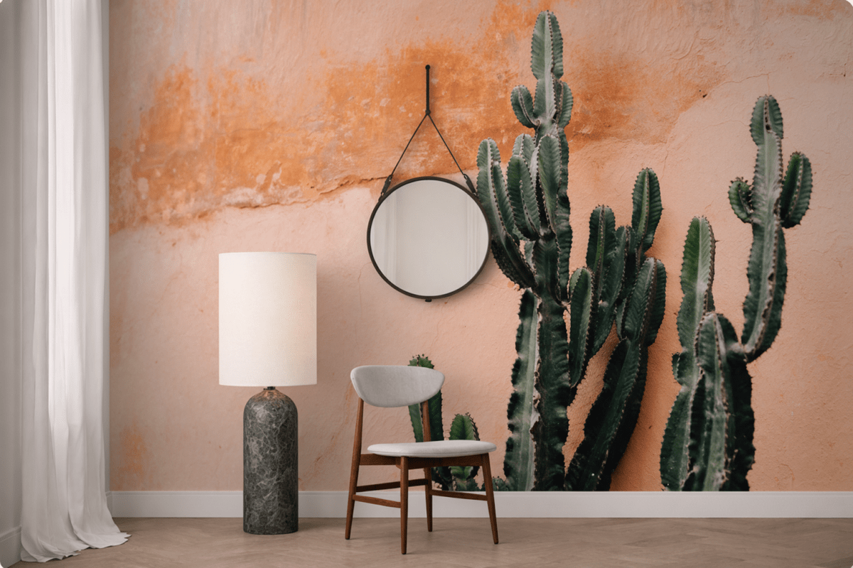 Cactus Oasis
