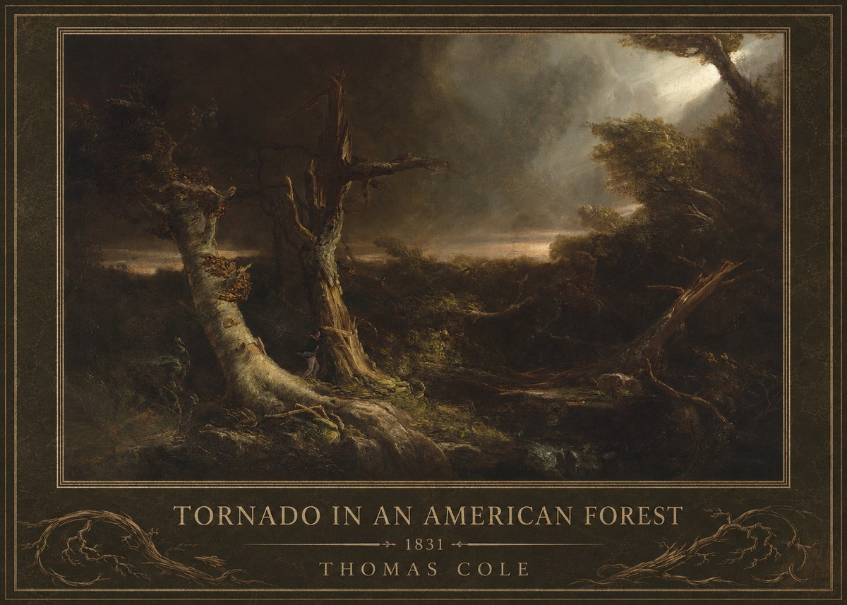 Thomas Cole Tornado in an American Forest No1 - Affiche