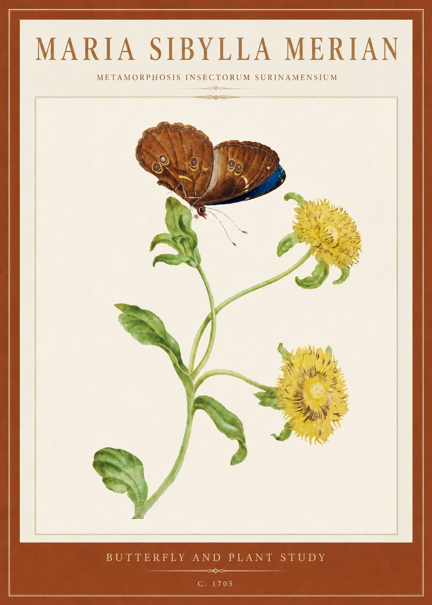 Maria Sibylla Merian Butterfly and Plant Study No5 - Affiche